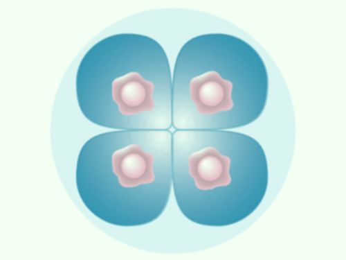 細胞イラスト01